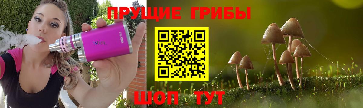 Асино  Псилоцибиновые грибы MAGIC MUSHROOMS  Вход с VPN 